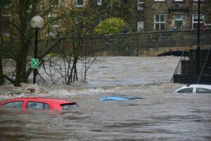 car on body of water