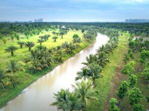Media coverage of climate change news is not sufficient in Africa