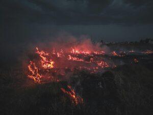 Canada and the wildfires